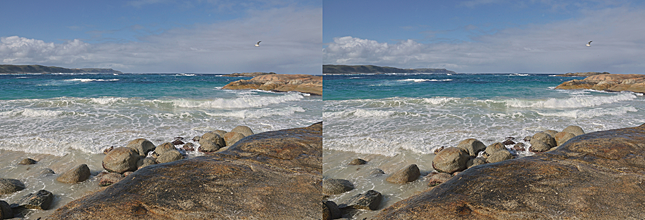 canonmovingsubjects
