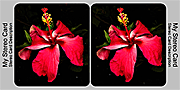 Classic Stereo Card stereocardclassic